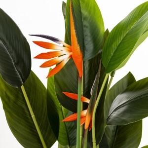 Dirbtinė gėlė vazonėlyje Strelicija 86x45x35 cm 176222