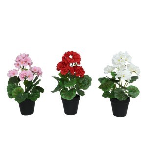 Dekoratyvinė gėlė Pelargonija vazonėlyje 36 cm (mix 3) 8445393391458