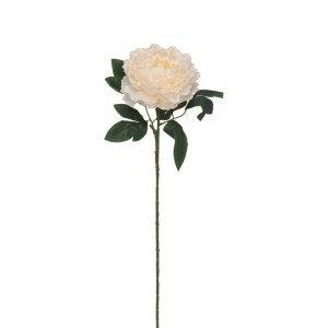 Dekoratyvinė gėlė Bijūnas 74 cm 8430540867436