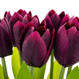 Dekoratyvinės gėlės Tulpė 20x10x10 cm 174828