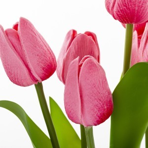 Dekoratyvinės gėlės Tulpės 28x13x13 cm 161540