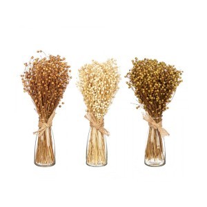 Vaza stiklinė D7xH16 cm su džiovinta puokšte (mix) 90835