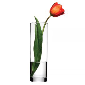 Vaza stiklinė skaidri D8xH26,5 cm FLORA Pasabahce 74759