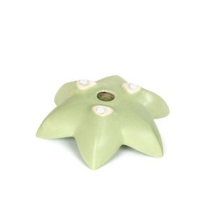 Vaisinė keramikinė 20x7 cm šv. žalia sp. B03007-L