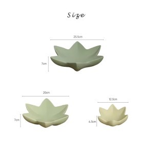 Vaisinė keramikinė 20x7 cm šv. žalia sp. B03007-L