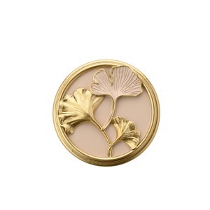 Dėžutė papuošalams Ginkmedis 9x11x11 cm Sophia Widdop