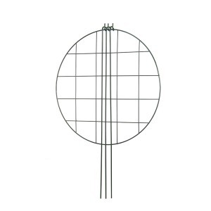 Atrama augalams apvali su tinkleliu žalia sp. D40xH61 cm Gardenita