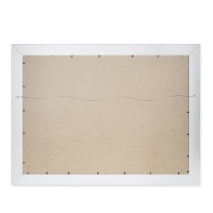 Reprodukcija 1705470 su rėmu 6003  Gėlės buteliuose 50x70 SVX