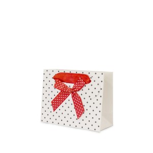 Dovanų maišelis baltas su kaspinu 11x14x6 cm 100476