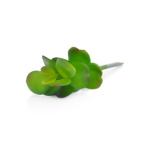 Dekoratyvinis augalas Sukulentas 14 cm HR16285 SAVEX