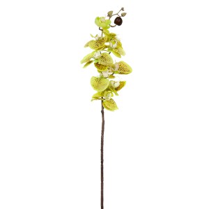 Dekoratyvinė gėlė Orchidėja alyvinė/žalsva (12)  h 77 cm SAVEX