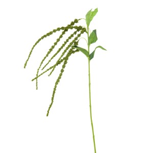 Dekoratyvinė gėlė Burnotis žalias/raudonas (12) h 110 cm