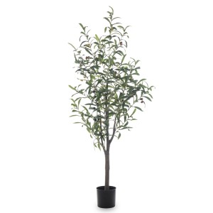 Dekoratyvinė gėlė vazonėlyje Alyvmedis 120x50x50 cm 146408