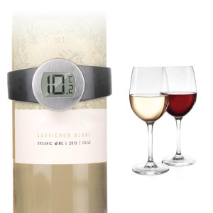 Termometras vynui 7,7x7,5x3,8cm ALPINA 871125249530