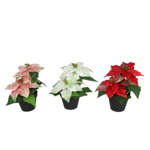 Dekoratyvinė gėlė Puansetija vazonėlyje 28 cm (mix 3) 8445393483160 KLD
