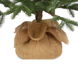 Eglutė dirbtinė vazonėlyje 50 cm 26227 kld