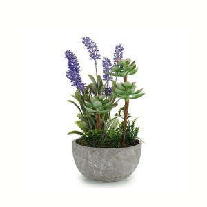 Dirbtinis augalas Levanda, sukulentai su vazonu  14x14x29 cm Ibergarden 20814
