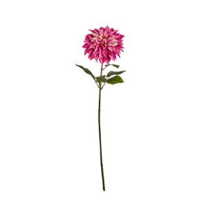 Dekoratyvinė gėlė Jurginas rožinė spalva 74x16x16 cm Ibergarden 77045
