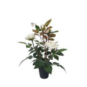 Dekoratyvinė gėlė Žydinti rožė vazonėlyje 35 cm balta 8445393206592