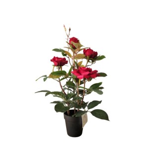 Dekoratyvinė gėlė Žydinti rožė vazonėlyje 35 cm raudona 8445393206608