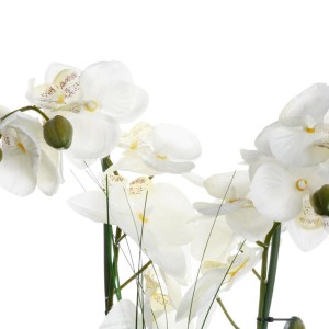 Dekoratyvinis augalas Orchidėja su baltu vazonu 38x38x53 cm Atmosphera 136510B