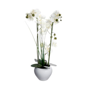 Dekoratyvinis augalas Orchidėja su baltu vazonu 38x38x53 cm Atmosphera 136510B