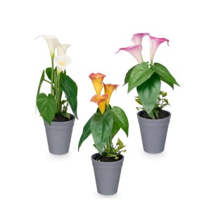 Dekoratyvinis augalas su vazonu 15x20x35 cm Ibergarden 10910