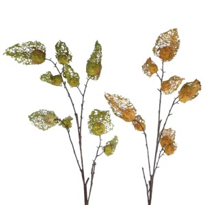 Dekoratyvinis augalas Dumplūnė D30xH125 cm (mix) 119464