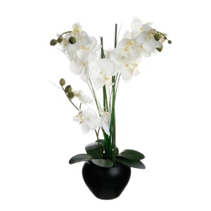 Dekoratyvinis augalas Orchidėja su juodu vazonu 38x38x53 cm Atmosphera 136510A