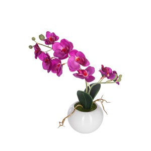 Dekoratyvinis augalas Orchidėja su vazonu 20x20x26 cm (mix) Atmosphera 155716