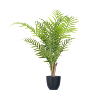 Dekoratyvinis augalas 65x65x77 cm vazone Ibergarden 11417