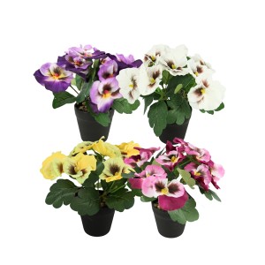 Dekoratyvinis augalas Našlaitės D15xH21 cm plastikiniame vazone 120243