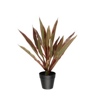 Dekoratyvinis augalas Dracena 40x40x45 cm juodas vazonas 4Living 639187