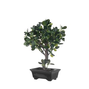 Dekoratyvinis augalas su vazonu Bonsas-Fikusas 23x20x33,5 cm 4Living 650060