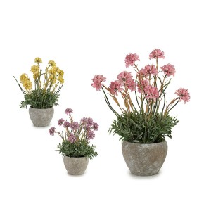 Dekoratyvinis augalas su vazonu 22x28x38 cm (mix) Ibergarden 20802