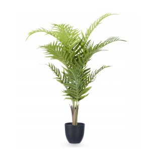 Dekoratyvinis augalas 55x55x95 cm vazone Ibergarden 11418
