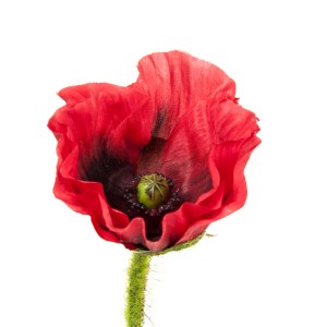 Dekorayvinė gėlė Aguona h 43 cm K03143