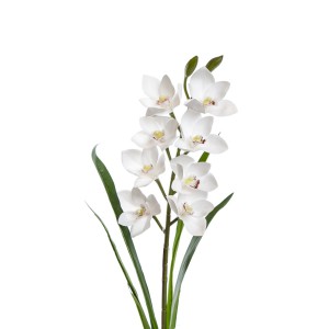 Dekoratyvinė gėlė Orchidėja balta h 73 cm K03977/1