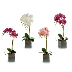Dirbtinis augalas Orchidėja su pilku vazonu 18x51x14 cm (mix) Ibergarden 55247