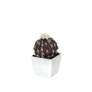 Dekoratyvinė gėlė Sukulentas vazonėlyje 13 cm (4 rūšių) 8445393394978