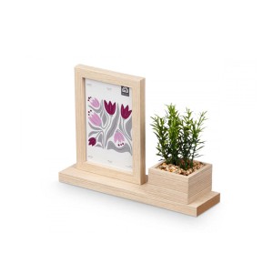 Rėmelis medinis su dekoratyviniu augalu 7x25x18 cm Giftdecor 66267