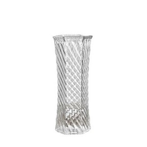 Vaza stiklinė skaidri D9,5xH25 cm HR-ZD01