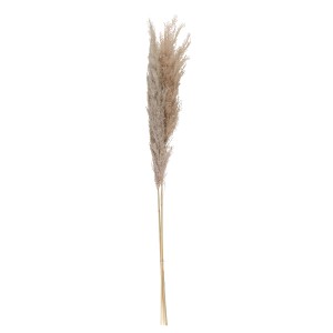 Viksvos (pampos) džiovintos natūralios 3 vnt 110 cm 333971