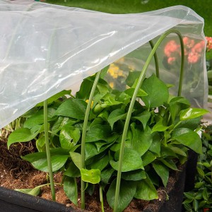 Lankas lysvei dengtas plastiku 11 mm 90x160 cm Gardenita (50)