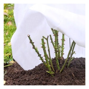 Agrodanga balta 50g/m2 1,6x10 m 8361 MAAN