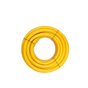 Žarna laistymui PRACTIC LINE 25 mm 30 m LSS 89319 FLO Lenkija