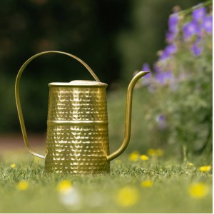 Laistytuvas metalinis auksinės sp. 29x14x19 cm CL1180 Country Living Widdop