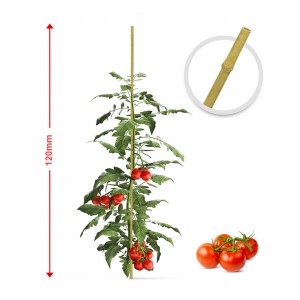 Kuoliukas augalams bambukinis  8-10 mm 120 cm Gardenita (100)