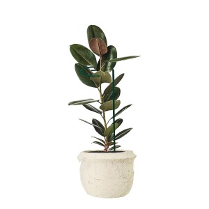 Atrama augalams su kilpute 45 cm Gardenita