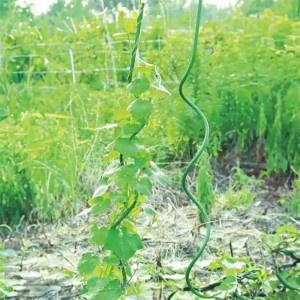 Kuoliukas augalams spiralinis dengtas plastiku 120 cm 11 mm Gardenita (50)